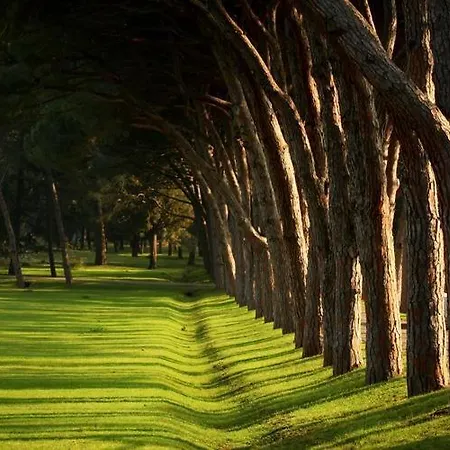 Bluebay Oasis Deluxe *