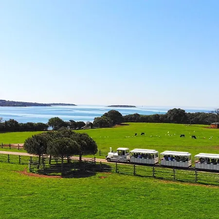 Apartman Bluebay Oasis Deluxe