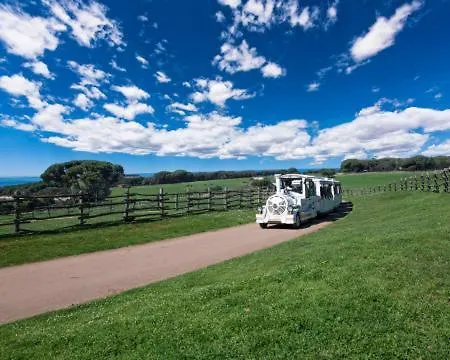 Lejlighed Bluebay Oasis Deluxe Fažana